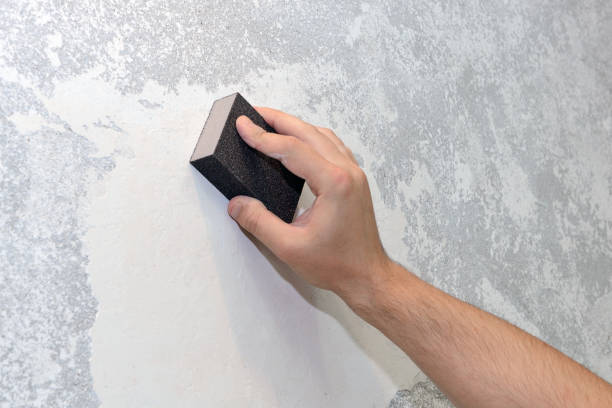 Best Mold Documentation for Insurance Claims  in Fort Polk South, LA