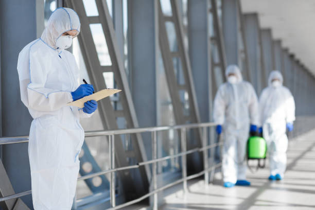 Best Environmental Consulting for Mold Prevention  in Fort Polk South, LA