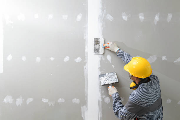 Best Airborne Mold Testing  in Fort Polk South, LA
